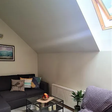 Apartment Beachfront Mansard One Bedroom